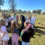 461840235 1236633830879295 2559586797825609196 n