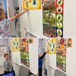 462554863 509841758534019 3972495005694835934 n