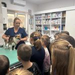 462547338 409508312115584 7207200148330252021 n