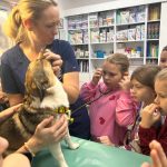 462568063 1722483685331329 5241049488984913747 n