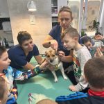 462638301 852060996859052 1682581956676442660 n