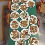 462647711 1571259776826428 8207547248873448080 n