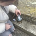 488832787 643862558395152 1048398908261207185 n