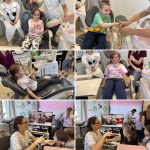 643573467 2010308379834389 6347586676336830628 n