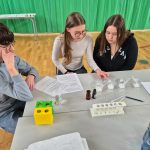 668126033 3175061966007180 2076652633639798788 n